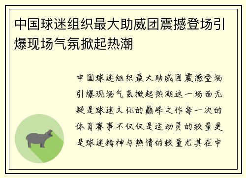中国球迷组织最大助威团震撼登场引爆现场气氛掀起热潮